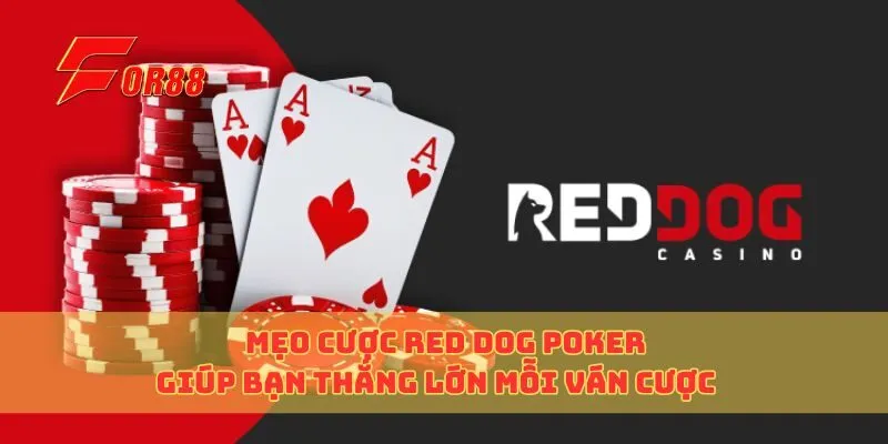 Mẹo Cược Red Dog Poker Giúp Bạn Thắng Lớn Mỗi Ván Cược